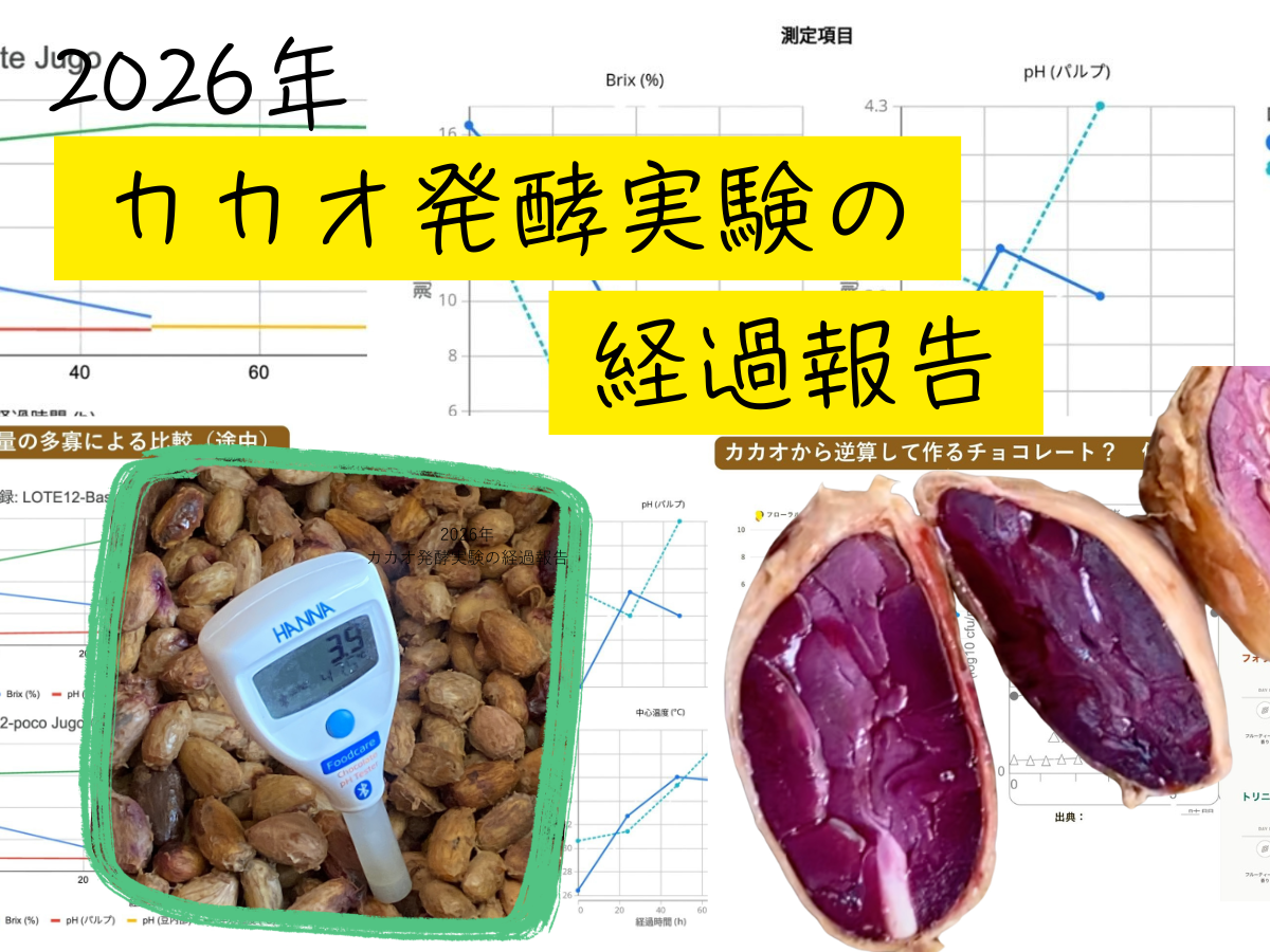 2026年カカオ発酵実験の経過報告。Brix、パルプpH、ニブPH、木箱温度