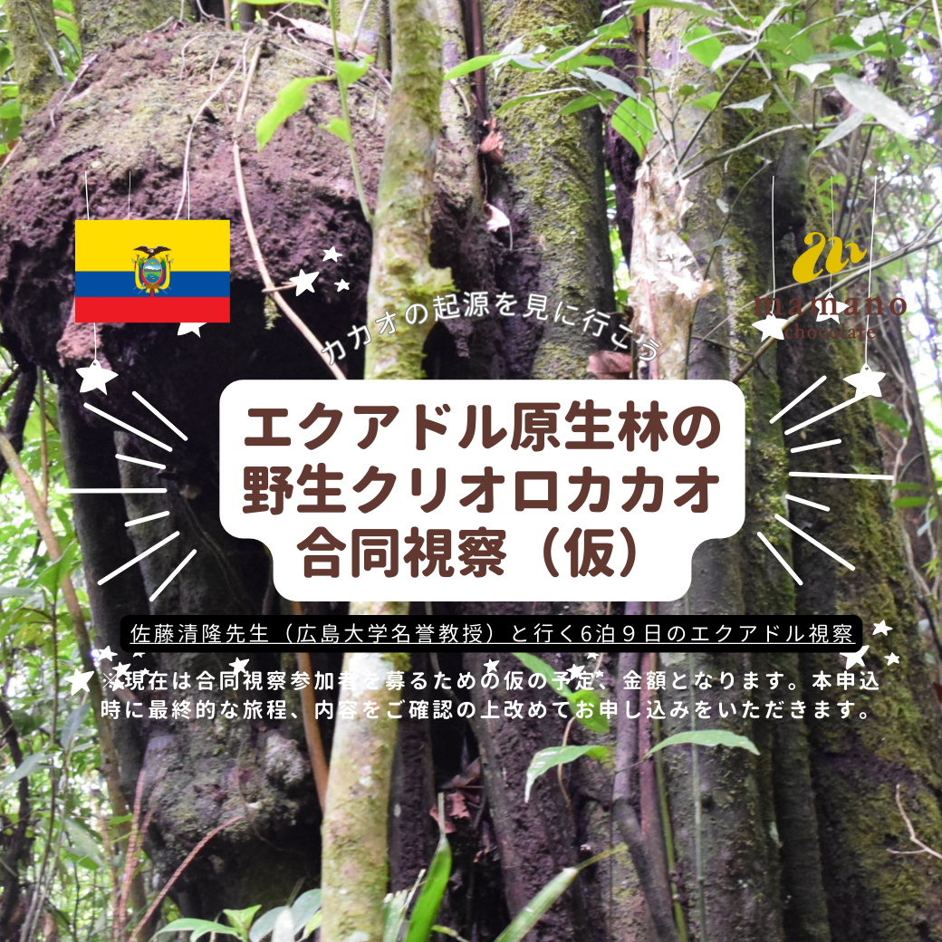 87c8afdfbfda1f9c06082372a7deb8