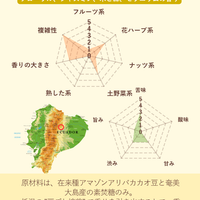 アマゾンアリバ70% 【スモールチョコレート】1枚5g