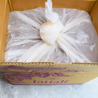 ウィニャック組合2024 エクアドル北東部アマゾン産アリバカカオ豆 100g/1kg/5kg/20kg (4日発酵/チャクラ認証取得)