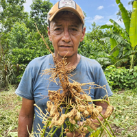 乾燥エクアドル産ジャングルピーナッツ 1kg/5kg/20kg