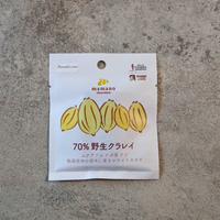 70% 野生クラレイ2025|ミニタブレット