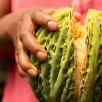 エクアドル産ジャングルマカンボ 150g/1kg|乾燥