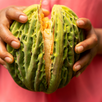 エクアドル産ジャングルマカンボ 150g/1kg|乾燥