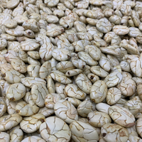 エクアドル産ジャングルマカンボ 150g/1kg|乾燥