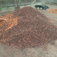 カカオ豆:アリバエスメラルダス アソプロカナンデ組合 チャチ族 5日発酵 2025年 1kg/5kg/20kg