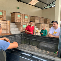 カカオ豆:アマゾンアリバ ウィニャック組合 ナポ県 2025年 4日発酵 チャクラ認証取得 100g/1kg/5kg/20kg