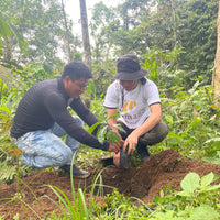 エクアドル産アマゾン珈琲|極細挽き|ファインロブスタ|WITOCA