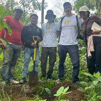 エクアドル産アマゾン珈琲|極細挽き|ファインロブスタ|WITOCA