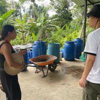 エクアドル産アマゾン珈琲|極細挽き|ファインロブスタ|WITOCA