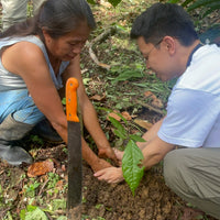 カカオ豆:アマゾンアリバ ウィニャック組合 ナポ県 2025年 4日発酵 チャクラ認証取得 100g/1kg/5kg/20kg
