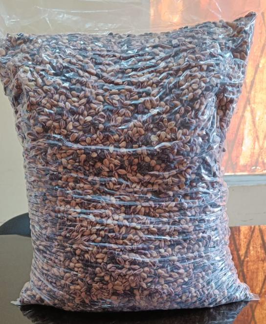 エクアドル産ジャングルピーナッツ 200g/1kg/5kg/20kg|乾燥