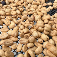 エクアドル産アマゾン珈琲|極細挽き|ファインロブスタ|WITOCA