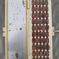 ウィニャック組合2024 エクアドル北東部アマゾン産アリバカカオ豆 100g/1kg/5kg/20kg (4日発酵/チャクラ認証取得)