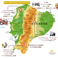 カカオ豆:アリバ&クラレイミックス オレリャナ県 ウィトカ 5日発酵 2025年 1kg/5kg/20kg