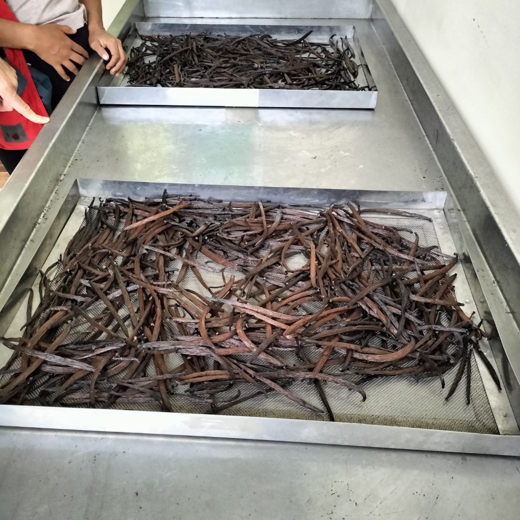 ホールアマゾンバニラ(1本/20g/100g/500g) オドラータ種/基本15cm以上で選定/天日乾燥&自然発酵(約17日)/木箱での熟成約3ヶ月