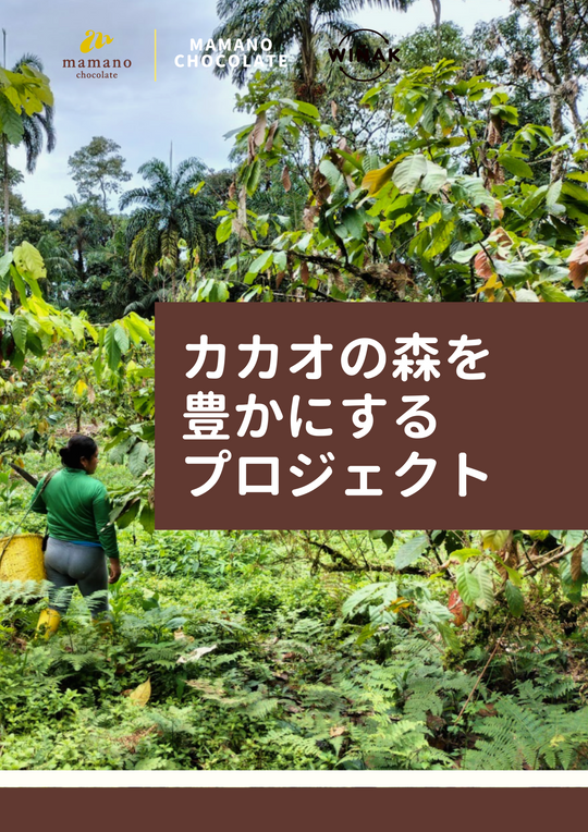 ママノチョコレートが、エクアドルアマゾンの小規模家族農家とともに『カカオの森を豊かにするプロジェクト』を開始。