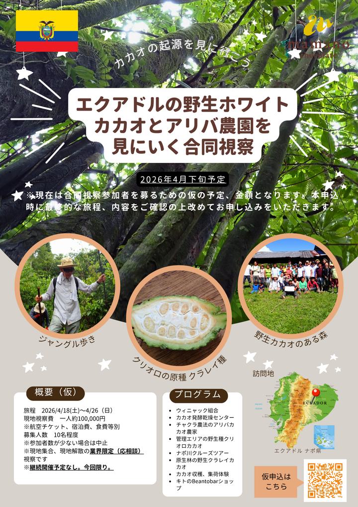 エクアドルの野生ホワイトカカオとチャクラ農園を見にいく業界限定合同視察　2026年4月予定