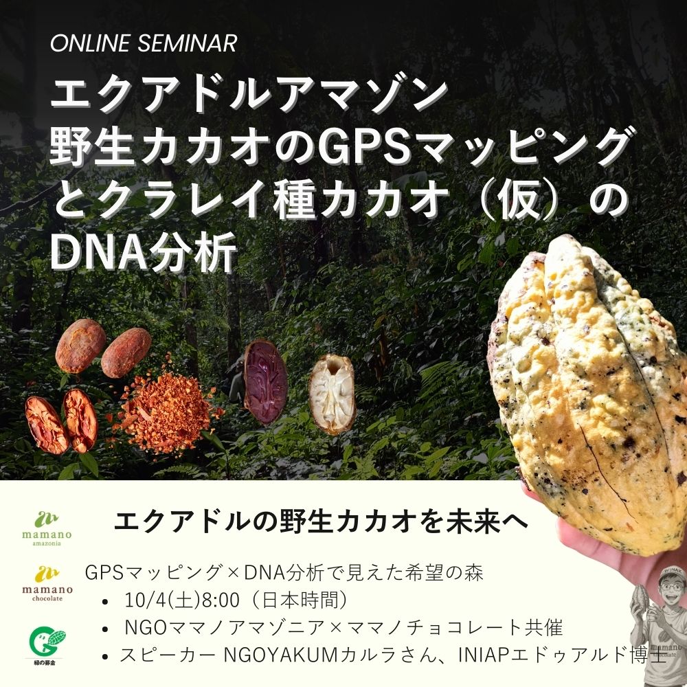 10/4(土)エクアドルアマゾン野生カカオの調査プロセス紹介｜オンライン