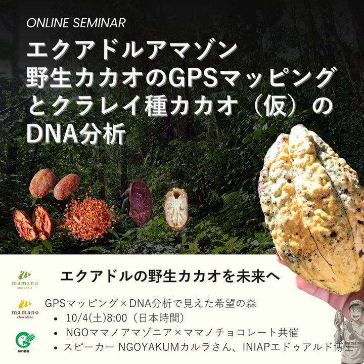 10/4(土)エクアドルアマゾン野生カカオの調査プロセス紹介｜オンラインセミナー