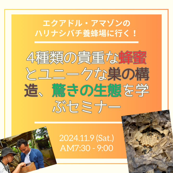 アーカイブ公開済み【11/9(土)AM7:30-】エクアドル・アマゾンのハリナシバチ養蜂場に行く！4種類の貴重な蜂蜜とユニークな巣の構造、驚きの生態を学ぶセミナー。