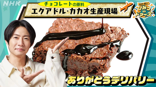 パーフェクトハーモニー　カンピオエネルヒア　貴重 再生確認済　TDI 瞑想 NHK「世界で開け！ひみつのドアーズ」6月3日放送｜エクアドル