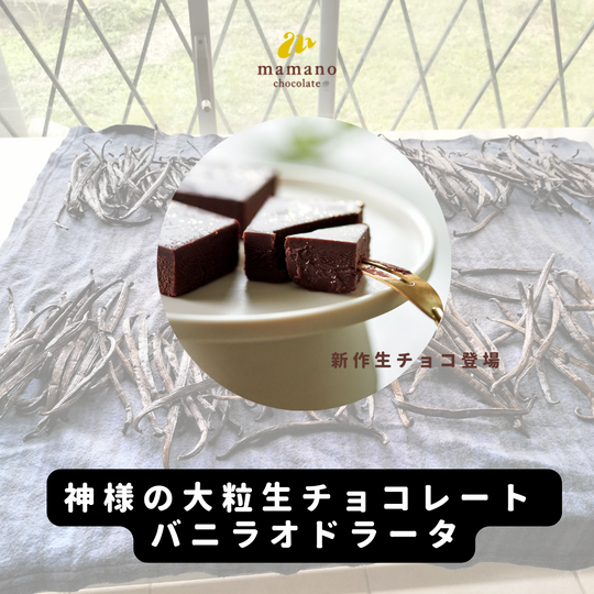 世界初？オドラータ種バニラを使った『神様の大粒生チョコレート バニラオドラータ』を発売。