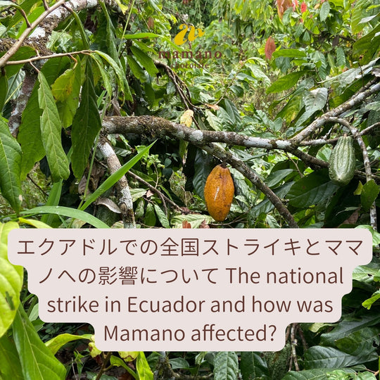 エクアドルでの全国ストライキとママノの影響について  The national strike in Ecuador and how was Mamano affected?
