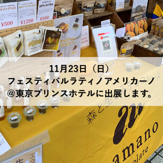 11月23日（日）フェスティバルラティノアメリカーノ＠東京プリンスホテルに出展します。