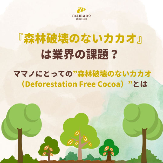 森林破壊のないカカオは業界の課題？ママノにとっての”Deforestation Free Cocoa＝森林破壊のないカカオ”とは。