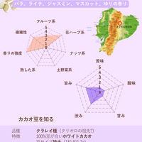 クラレイ種　野生ホワイトカカオ70%【スモールチョコレート】1枚5g