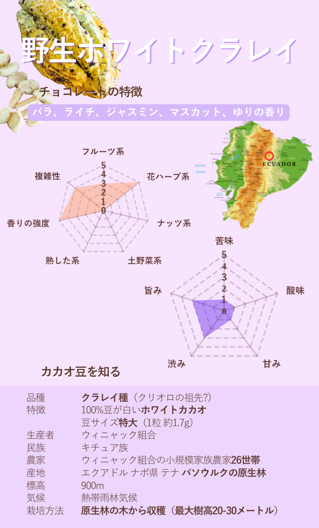 クラレイ種　野生ホワイトカカオ70%【スモールチョコレート】1枚5g