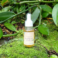 ビックビーのごちそう｜メリポナグランディス｜ハリナシ蜂蜜【30ml/250ml】