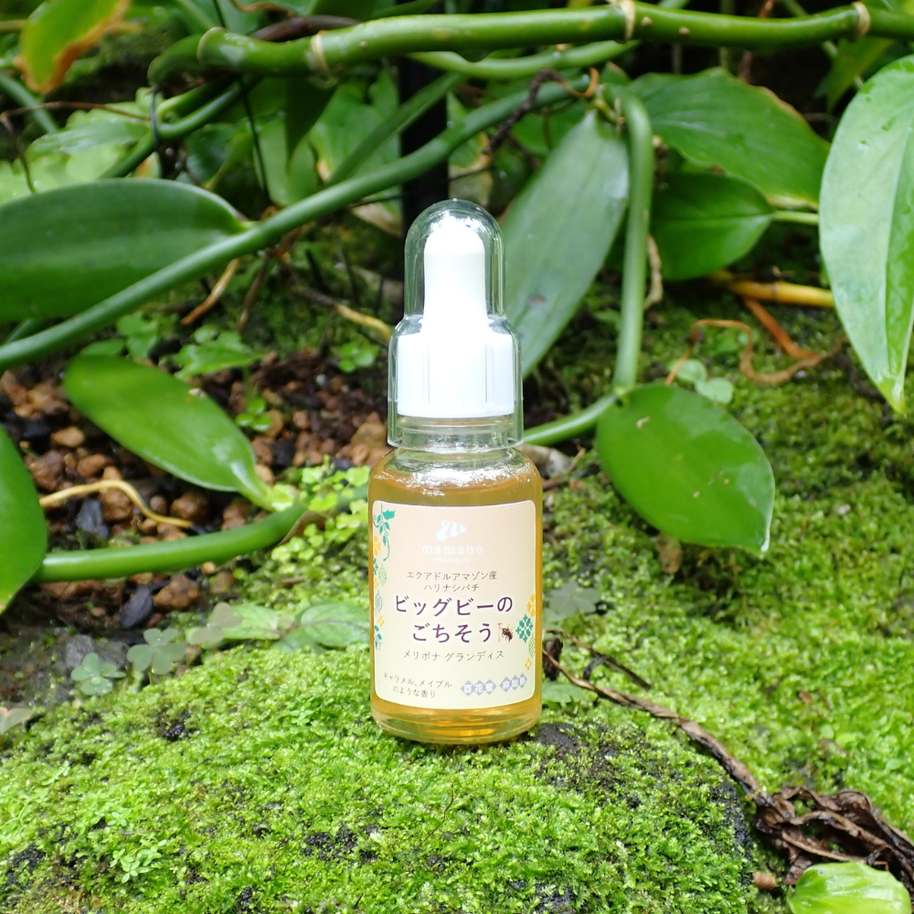 ビックビーのごちそう｜メリポナグランディス｜ハリナシ蜂蜜【30ml/250ml】