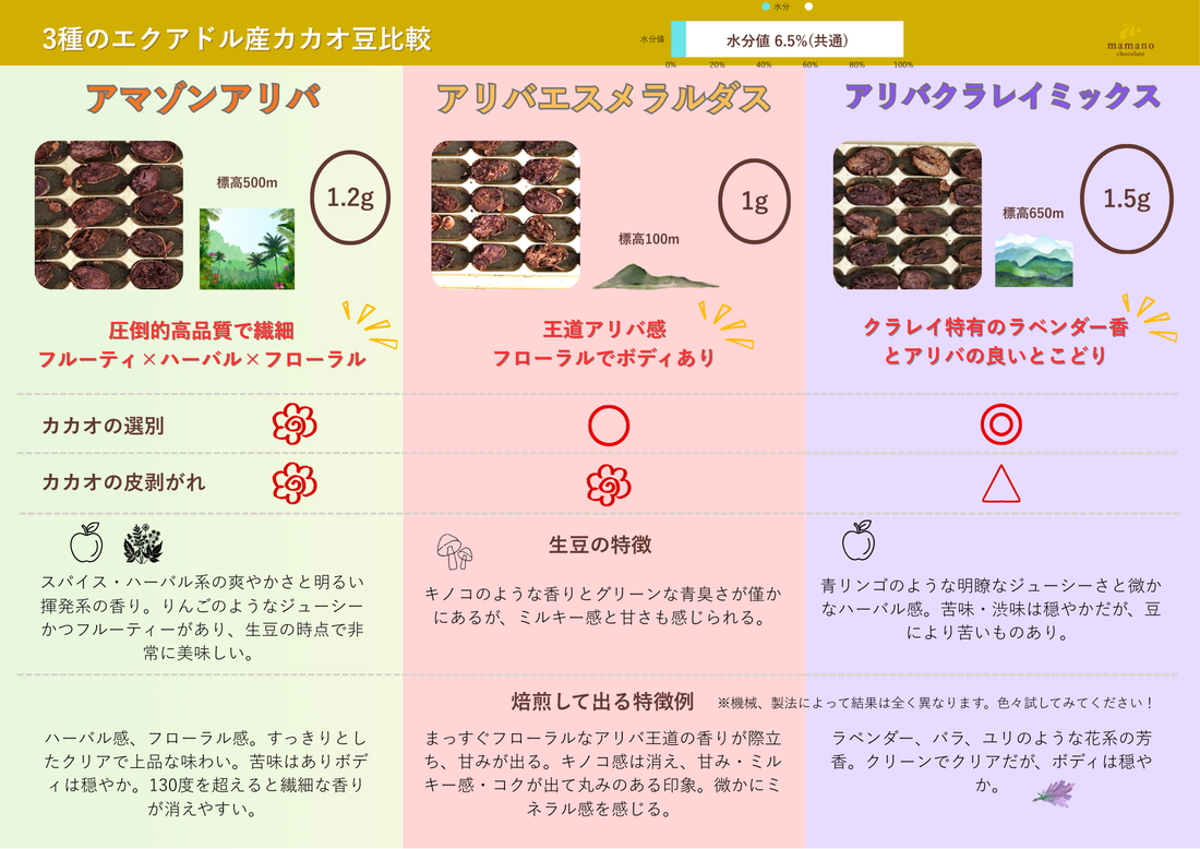 カカオ豆：アマゾンアリバ ウィニャック組合 ナポ県 2025年 4日発酵 チャクラ認証取得  100g/1kg/5kg/20kg