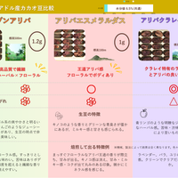 カカオ豆：アマゾンアリバ ウィニャック組合 ナポ県 2025年 4日発酵 チャクラ認証取得  100g/1kg/5kg/20kg