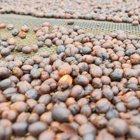 エクアドル産アマゾン珈琲｜極細挽き｜ファインロブスタ｜WITOCA