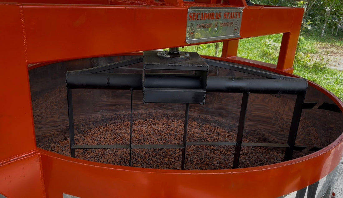 カカオ豆：アリバエスメラルダス アソプロカナンデ組合 チャチ族 5日発酵 2025年  1kg/5kg/20kg