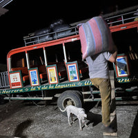 カカオ豆：アリバエスメラルダス アソプロカナンデ組合 チャチ族 5日発酵 2025年  1kg/5kg/20kg