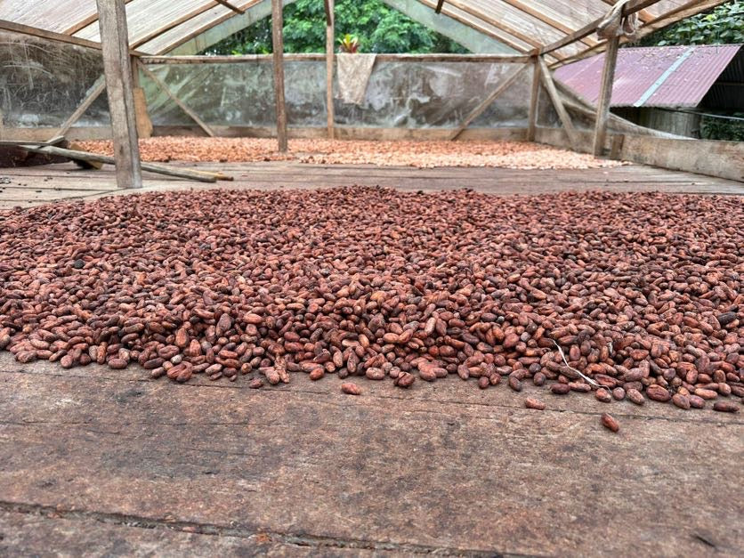 カカオ豆：アリバエスメラルダス アソプロカナンデ組合 チャチ族 5日発酵 2025年  1kg/5kg/20kg