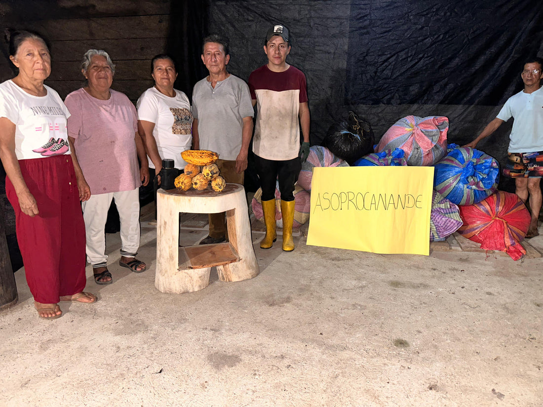 カカオ豆：アリバエスメラルダス アソプロカナンデ組合 チャチ族 5日発酵 2025年  1kg/5kg/20kg