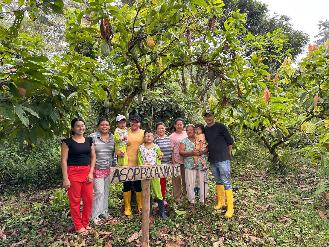 カカオ豆：アリバエスメラルダス アソプロカナンデ組合 チャチ族 5日発酵 2025年  1kg/5kg/20kg