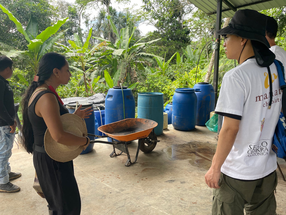 エクアドル産アマゾン珈琲｜極細挽き｜ファインロブスタ｜WITOCA