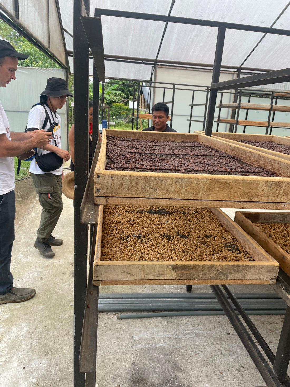 エクアドル産アマゾン珈琲｜極細挽き｜ファインロブスタ｜WITOCA