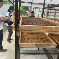 エクアドル産アマゾン珈琲｜極細挽き｜ファインロブスタ｜WITOCA