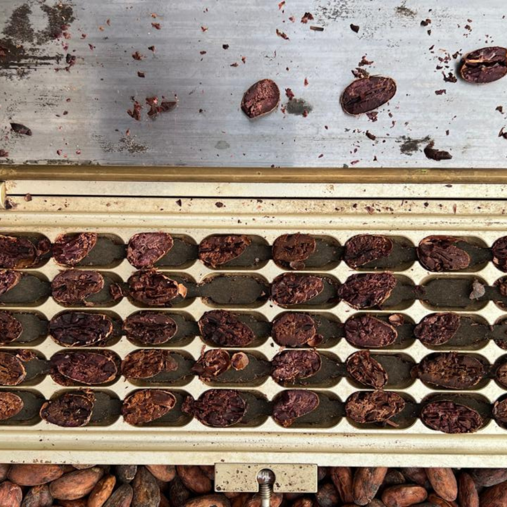 カカオ豆：アリバエスメラルダス アソプロカナンデ組合 チャチ族 5日発酵 2025年  1kg/5kg/20kg