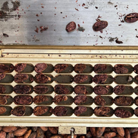 カカオ豆：アリバエスメラルダス アソプロカナンデ組合 チャチ族 5日発酵 2025年  1kg/5kg/20kg