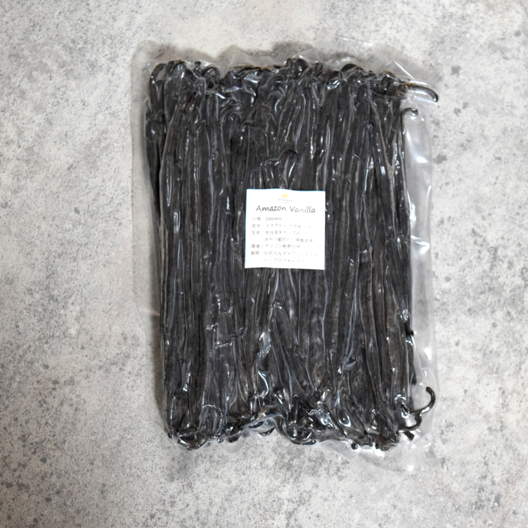 1 stick of Amazon vanilla (Odorata variety)